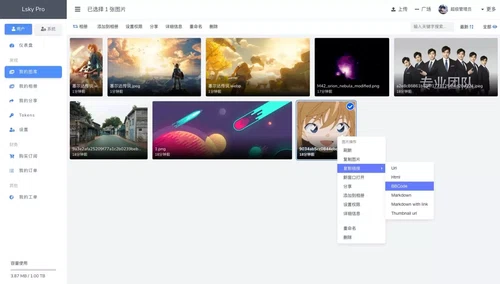 Lsky Pro兰空图床安装||配置OneDrive存储-小怪兽BLOG