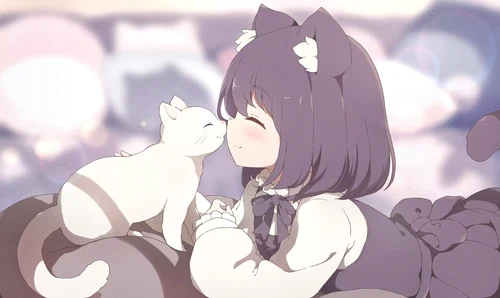 WordPress主题推荐|Argon-小怪兽BLOG